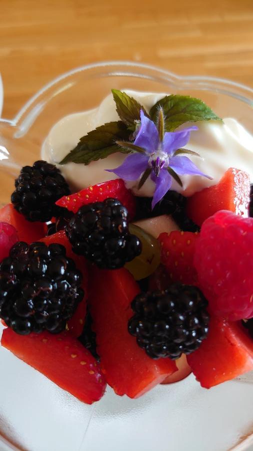 The Old Dairy B&B Lympstone Esterno foto